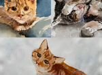 Картины акварель, кот, котенок