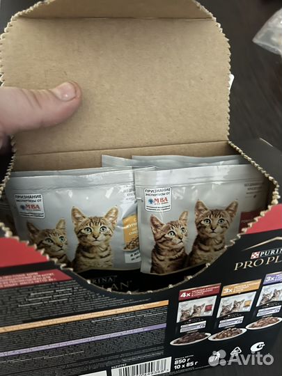 Pro plan влажный корм для котят