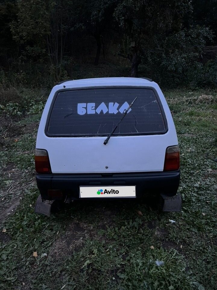 ВАЗ (LADA) 1111 Ока: фото владельца