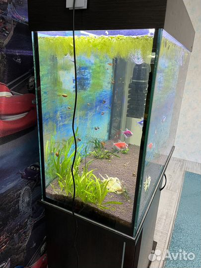 Аквариум с тумбой бу