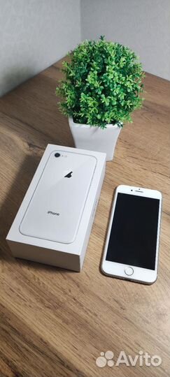iPhone 8, 64 ГБ