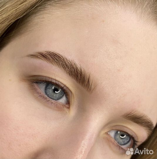 Мастер бровист