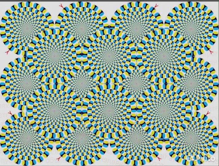 Сортировщик соков Вахта без опыта от15смен линия №
