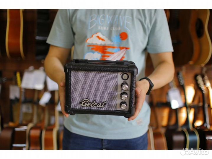 Belcat I-5G Гитарный мини комбоусилитель для гитар