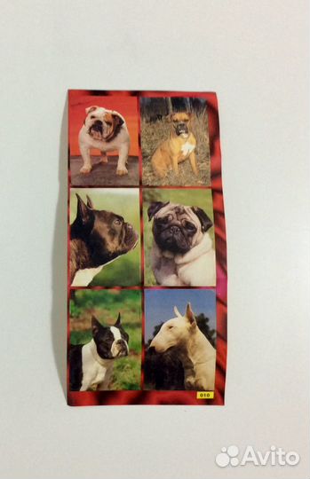 Наклейки. Собаки. Обмен