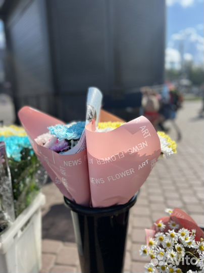 Хризантемы букет на 1 сентября