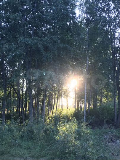 Дача 120 м² на участке 12 сот.