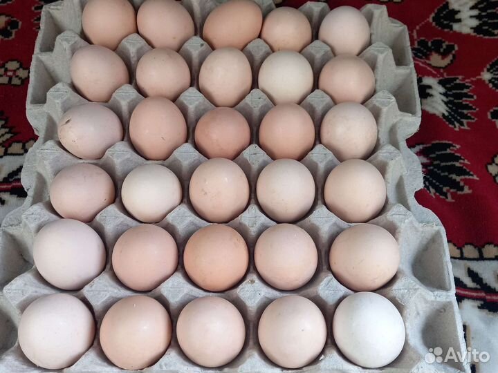 Яйцо куринное (домашние)