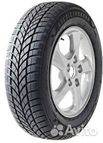 Maxxis WP-05 ArcticTrekker 175/60 R15 81T
