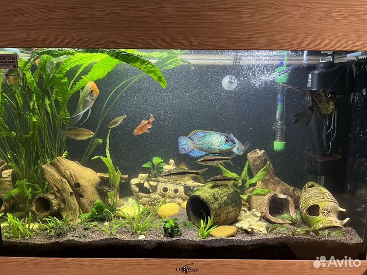 Продам аквариум