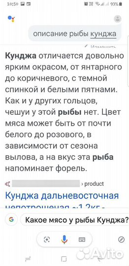 Кижуч (лосось, камчатка)