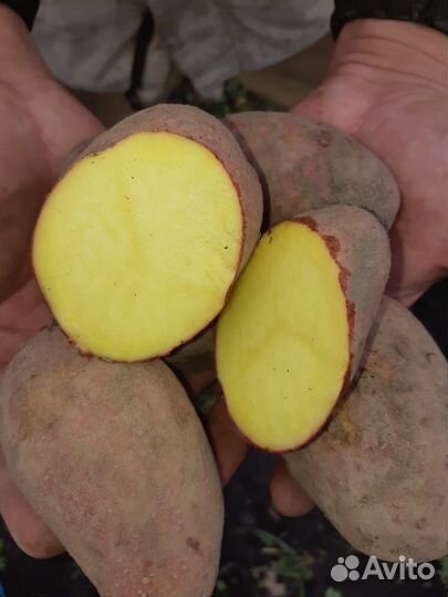 Картофель деревенский с доставкой