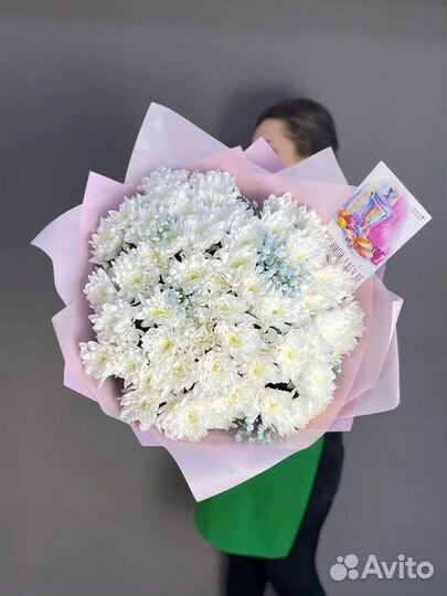 Хризантема игольчатая