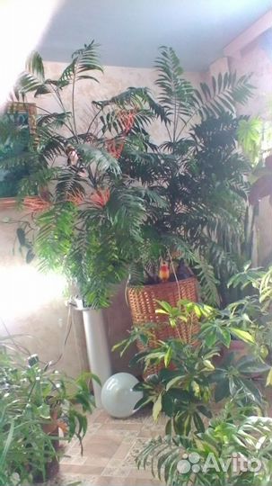 Подставка, полочка для цветов