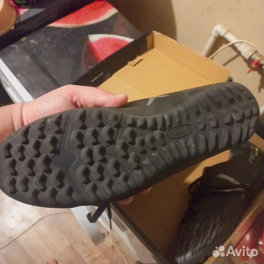 Сороконожки