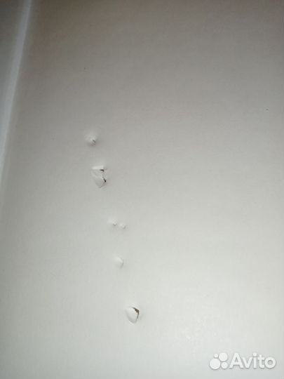 Англо русский словарь мюллер