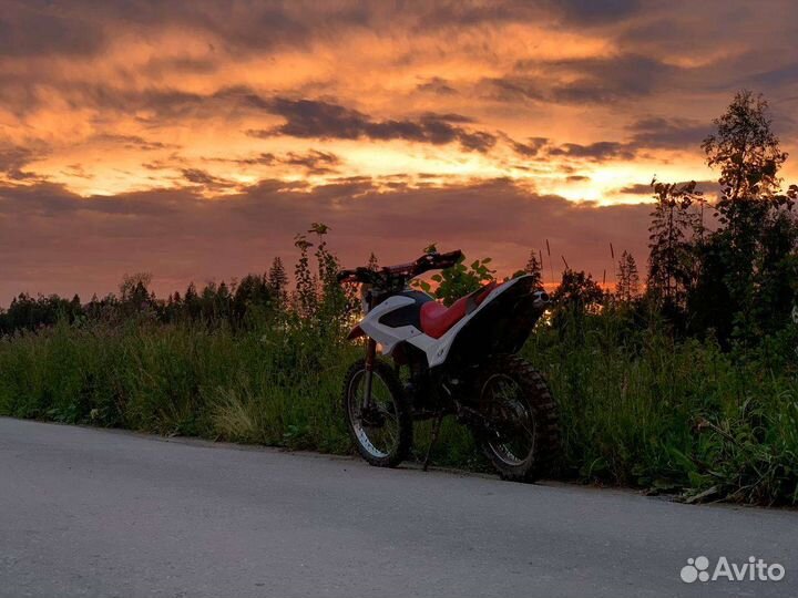 Ирбис ттр 250