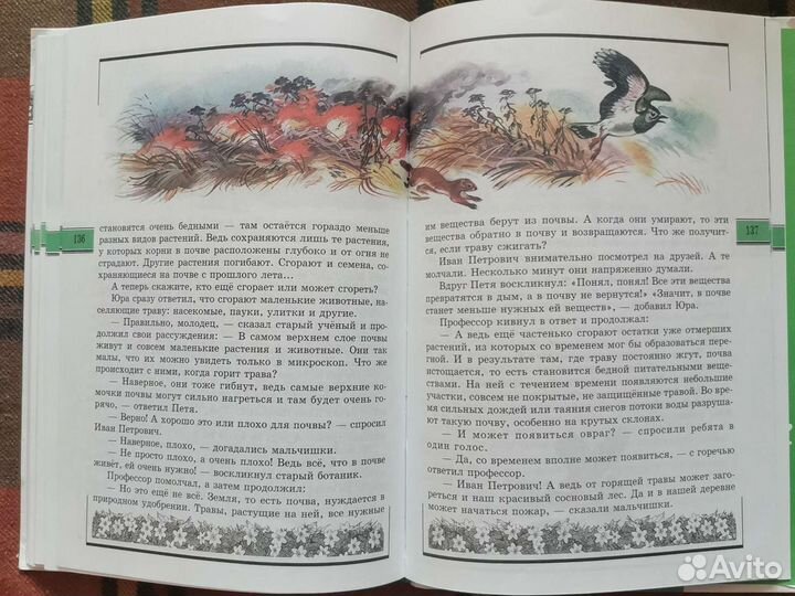 Книга Великан на поляне