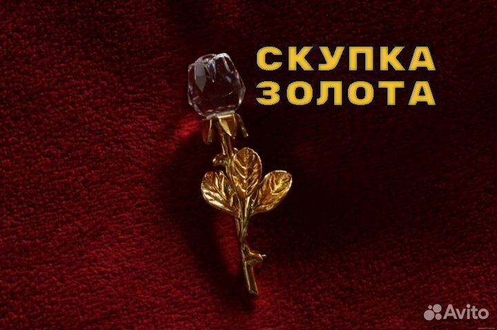 Золотые серьги 585 пробы