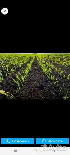 Плодородный грунт в мешках для теплицы