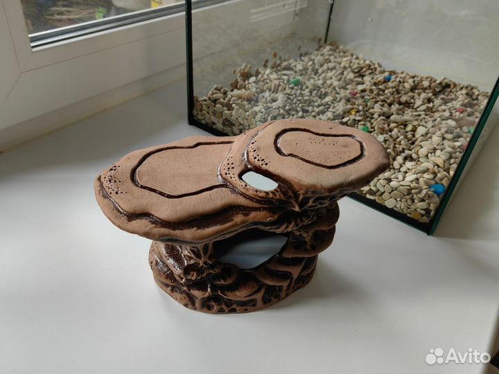 Аквариум для водной черепашки