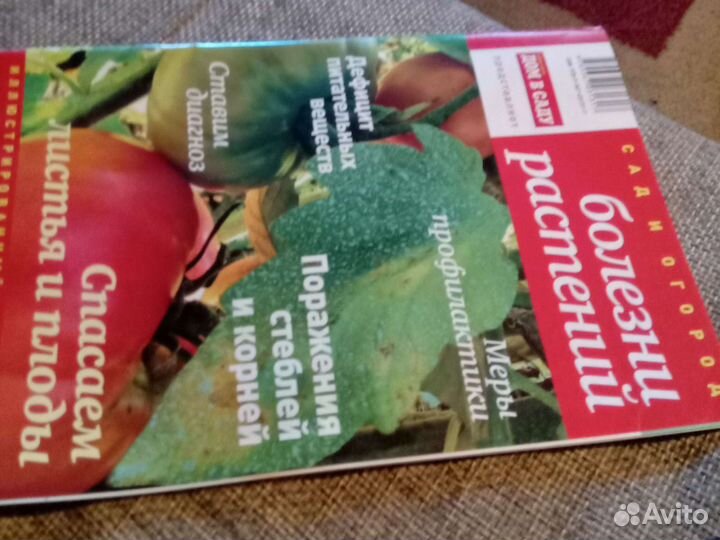 Садоводство