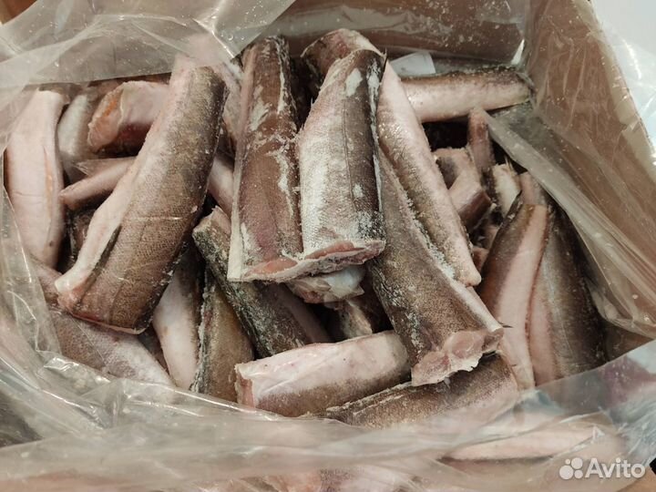 Рыба на дом