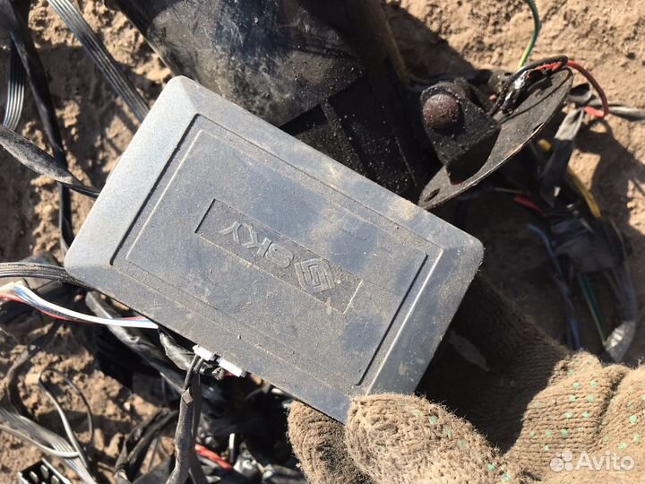 Сигнализация томагавк