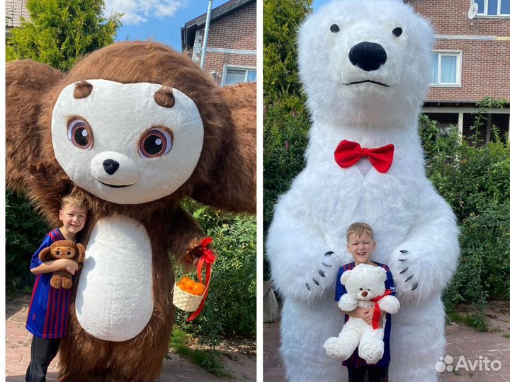 Ростовой медведь белый, чебурашка