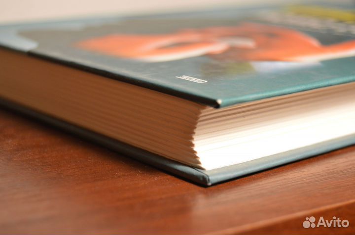 Йохан Хейзинга Homo Ludens. Человек играющий