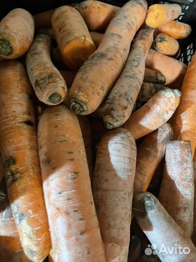 Овощи фруткы некондиция