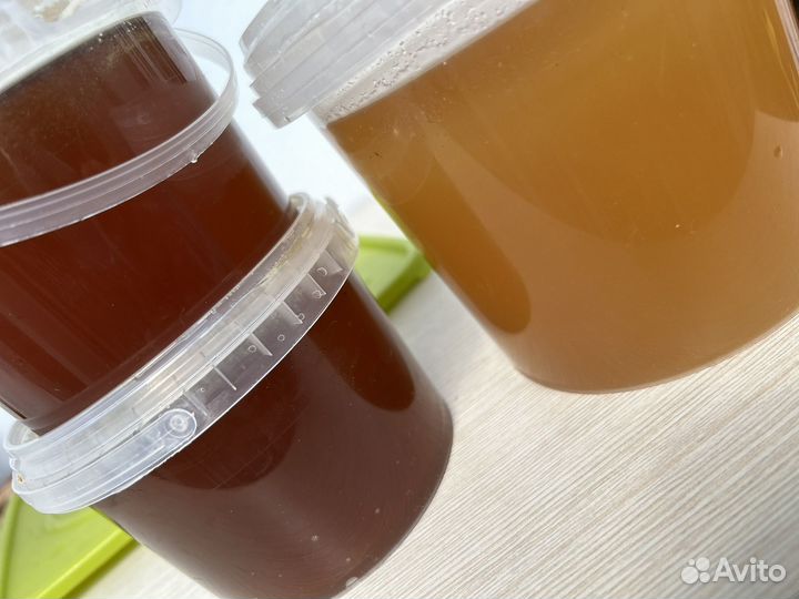 Мед рапс и гречишный 2024