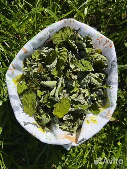 Листья малины