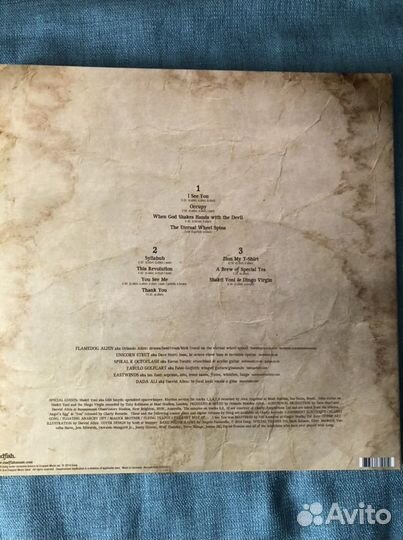 Виниловая пластинка Gong