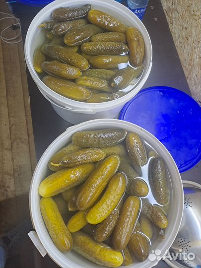 Огурцы солёные,маринованные