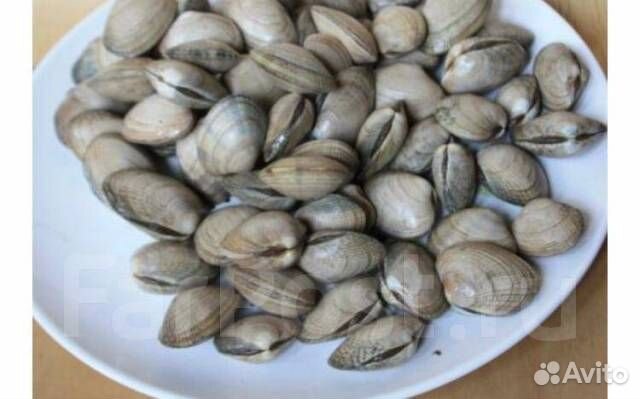 Клеммы Вонголе