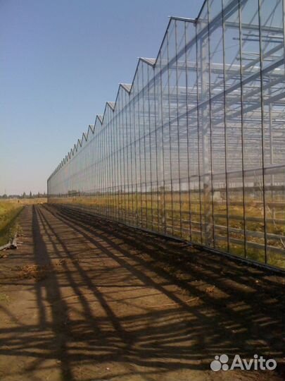 Тепличный комплекс 