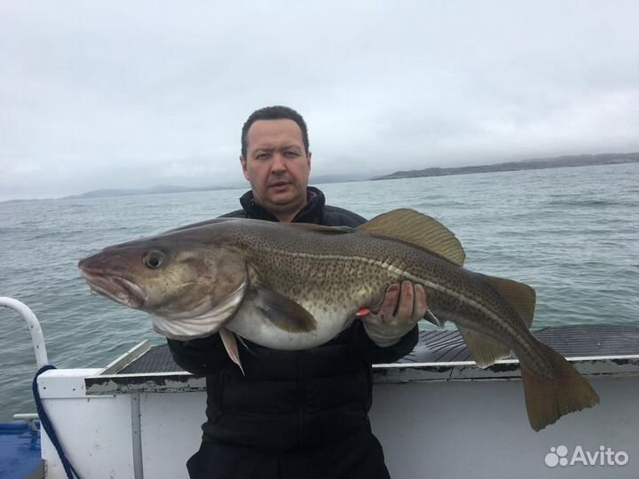 Морская рыбалка, киты,экскурсии