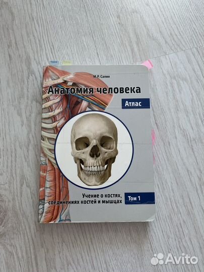 Учебник по анатомии