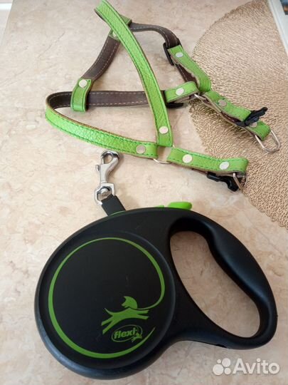 Поводок-рулетка и шлейка
