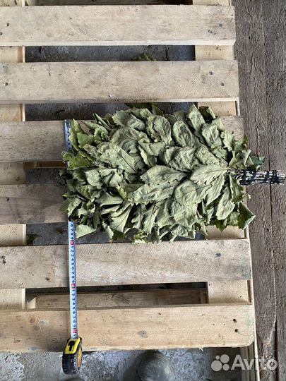 Банные веники