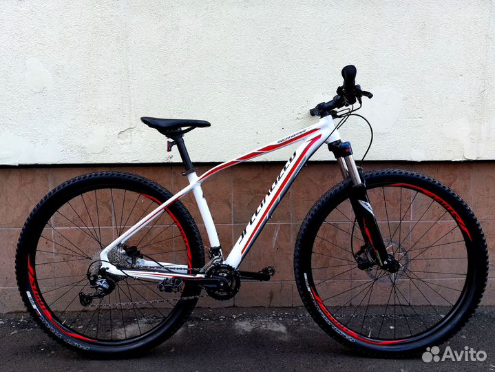 Specialized Rockhopper 29