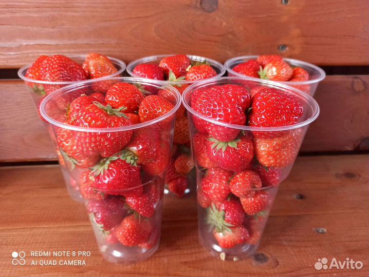 Домашняя (своя), вкуснейшая, отборная клубника