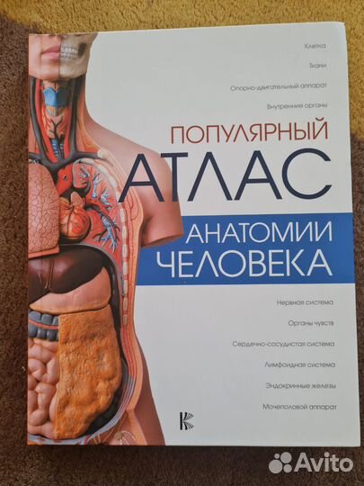 Атлас анатомии человека