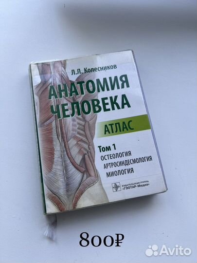 Анатомия/деньги/психология