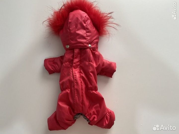 Одежда для собак