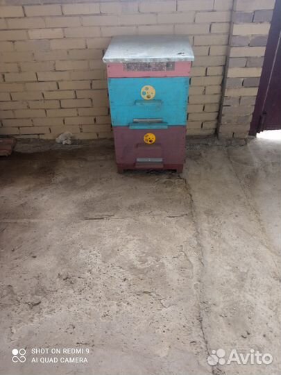 Продаю ульи