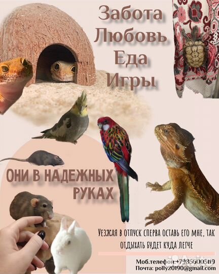 Передержка животных