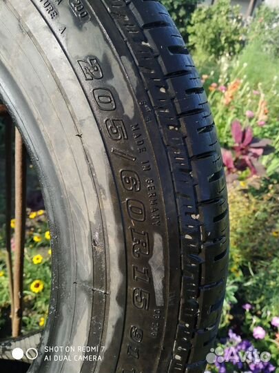 Dunlop All Season Maxx AS1 205/60 R15