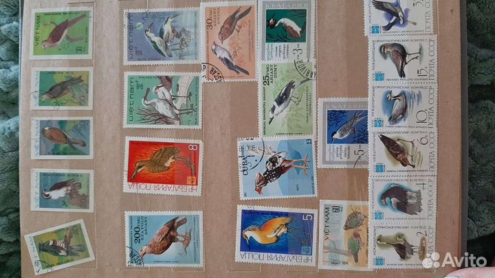 Альбом с марками коллекционный